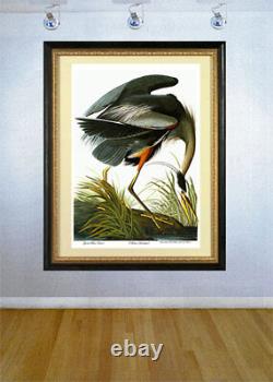 Audubon Great Blue Heron 30x44 Audubon Fine Art Print Hand Numbered Edition