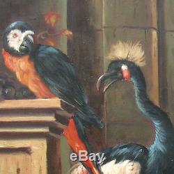 Framed High Quality Oil Painting Of Different Birds And Monkey At Farm 24X28