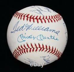 High Grade 500 Home Run Club Signed Ball (11) Mickey Mantle Ted Williams JSA