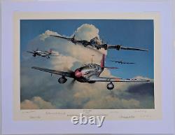 Red Tail Escort by Richard Taylor signed by 6 Tuskegee Airmen with Charles McGee