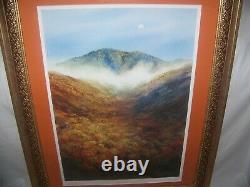 Robert Tino-Artist TN Ltd Ed 257/500 2006 Lithograph High Above Signed, Framed