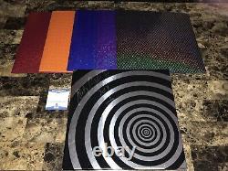 Smashing Pumpkins Billy Corgan Signed Record Box Set Aeroplane Flies High + BAS