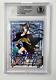 Stephanie Young Signed Card High School DXD Kuroka Precious Memories Beckett COA