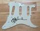 Tal Bachman Signed Autographed Pickguard! She's So High Canadian Singer Rare