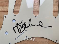 Tal Bachman Signed Autographed Pickguard! She's So High Canadian Singer Rare
